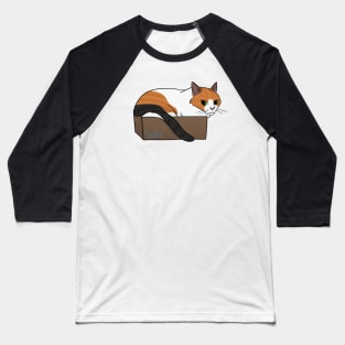 Cat in a Box Baseball T-Shirt